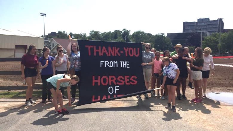 Downtown Halifax horse stable reopens after 3-month quarantine