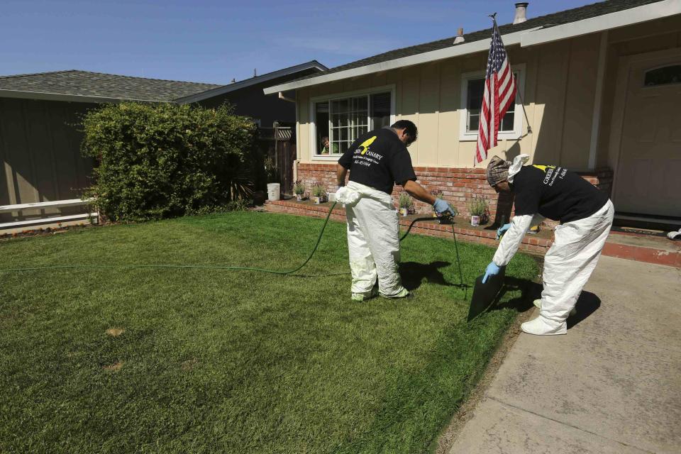 Green Canary workers Mariano Bucio (L) and Shahbaz Zadeh apply a diluted concentrate of aqueous pigment to the front lawn of a home in San Jose, California July 24, 2014. The company said it uses the coloring application to improve property value, conserve water, and reduce maintenance costs. REUTERS/Robert Galbraith (UNITED STATES - Tags: ENVIRONMENT)