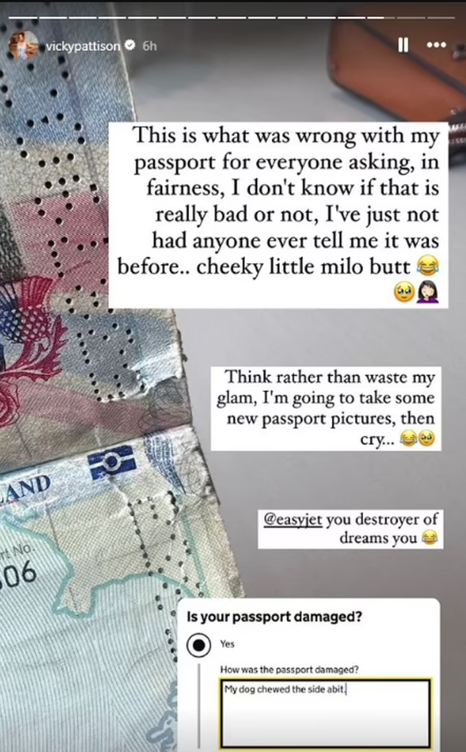 Pattison shared a photo of her damaged passport on her Instagram Stories (Instagram/Vicky Pattison)