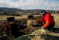 The Wider Image: The man who saves forgotten cats in Fukushima's nuclear zone