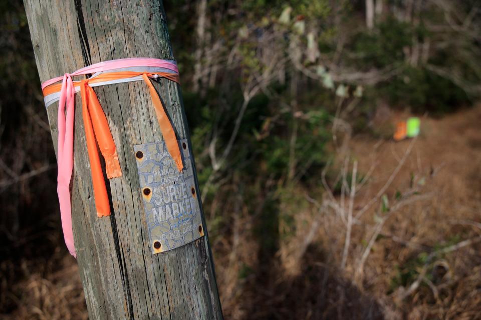 A survey marker shows the edge of St. John River Water Management District parkland yards away from orange and green public notice signs (background)  on neighboring property being rezoned for a 97-home subdivision.