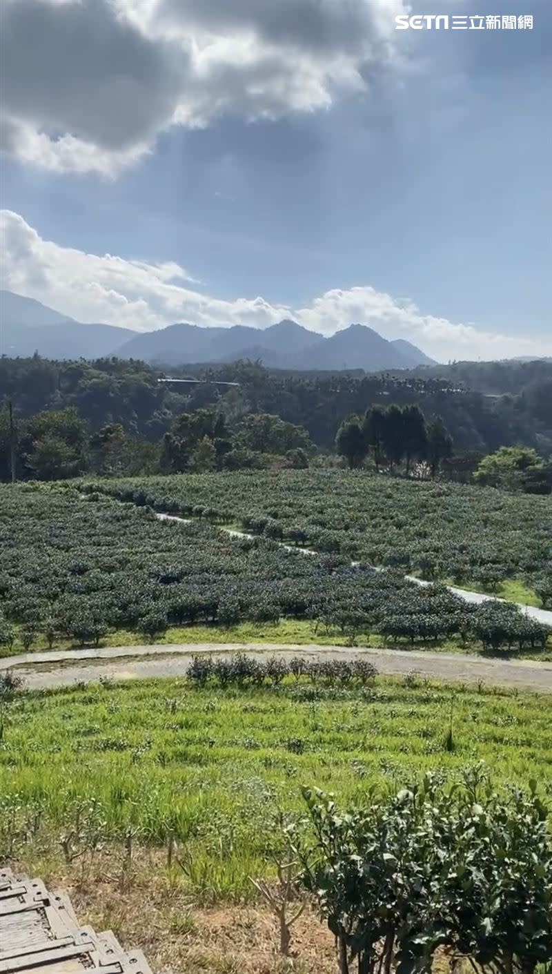 樹木環繞景色。（圖／IG ＠geoiis 授權提供）