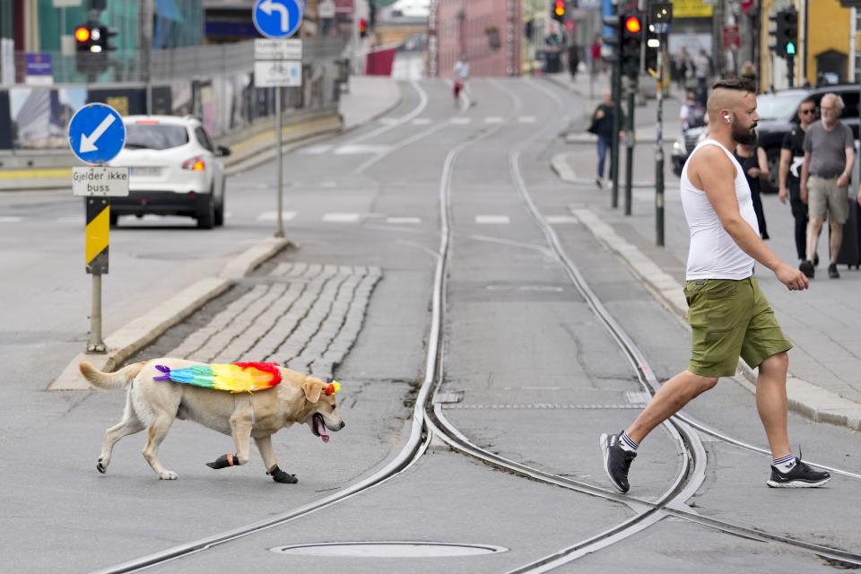 A man walks with a dog decorated with rainbow wings near the scene of a shooting in central of Oslo, Norway, Sunday, June 26, 2022. A gunman opened fire in Oslo’s nightlife district early Saturday, killing two people and leaving more than 20 wounded in what the Norwegian security service called an "Islamist terror act" during the capital’s annual LGBTQ Pride festival. (AP Photo/Sergei Grits)