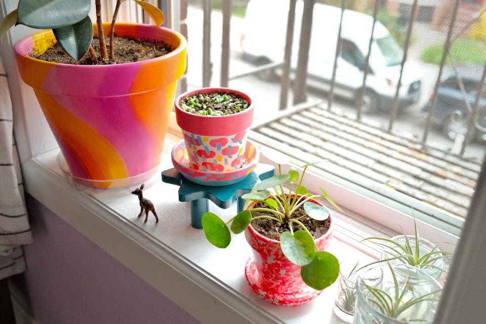 Flowerpots hand-painted by Buzz—a new quarantine hobby and a great DIY project.