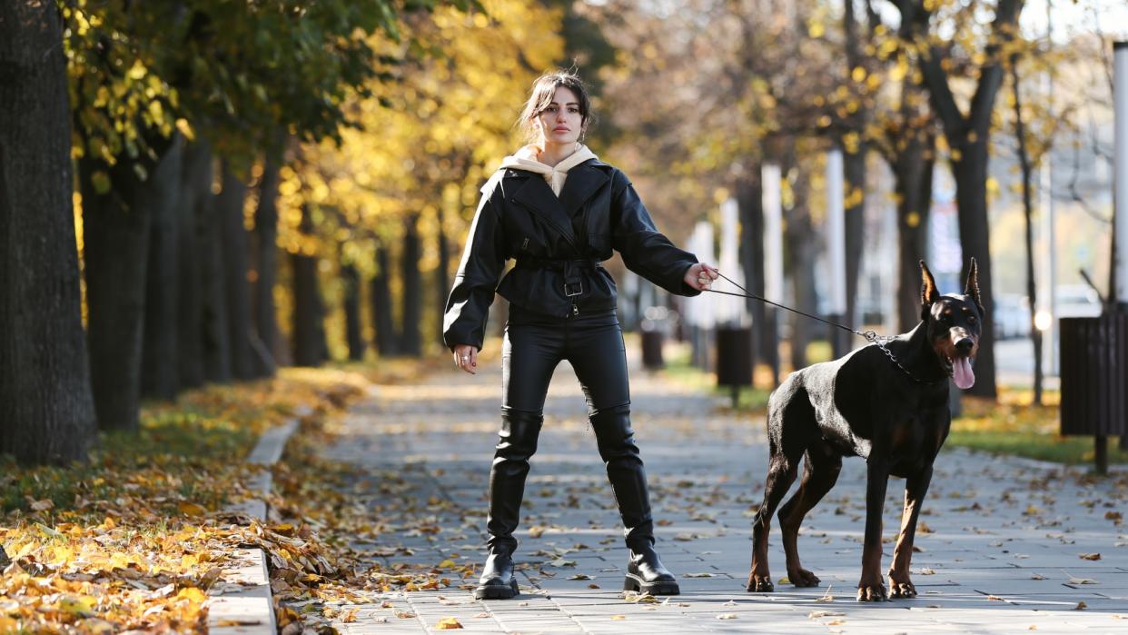  Young Woman Wearing Black Leather Clothes Walking With Doberman Pinscher At The Autumn Park 