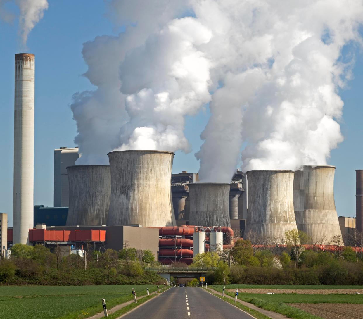 We’re a tiny percentage of the biomass of Earth (Picture Getty)