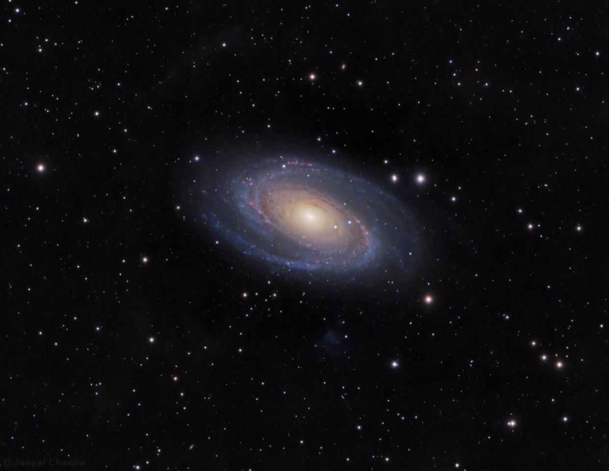 Clear shot: Jaspal Chadha captured the M81 galaxy 12 million light years away: Jaspal Chadha