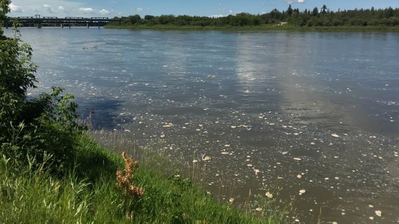 Wave of water rolling past Prince Albert today