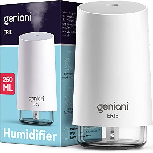 3) Portable Humidifier