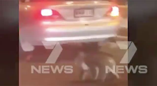 Highway drivers were shocked to see a koala trying to cross four lanes of traffic. Source: 7 News