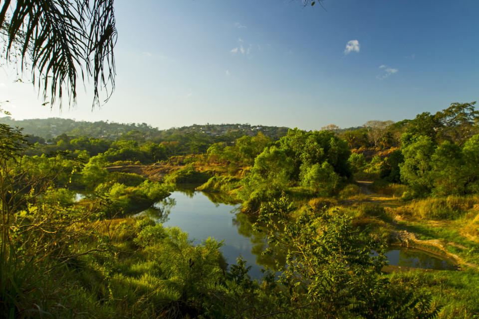 rainforest and lake in belize