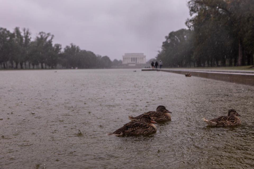   Anna Rose Layden / Getty Images