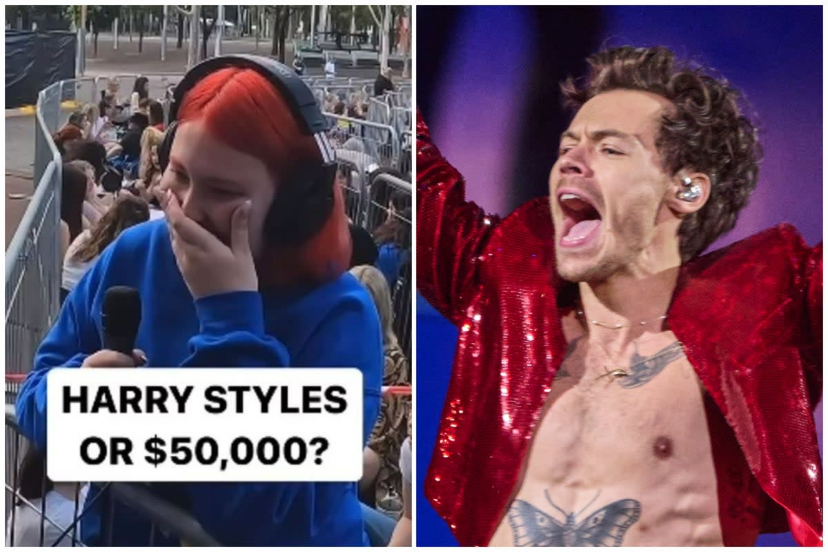 A Harry Styles fan turned down £28k in exchange for ripping up her ticket to his gig  (ES Composite)