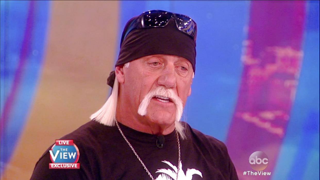 'The View': Hulk Hogan Says Gawker Is 'The Ultimate Bully' in Exclusive Sit-Down on 'The View'