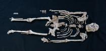 A handout photo of a skeleton of Little Foot in Sterkfontein