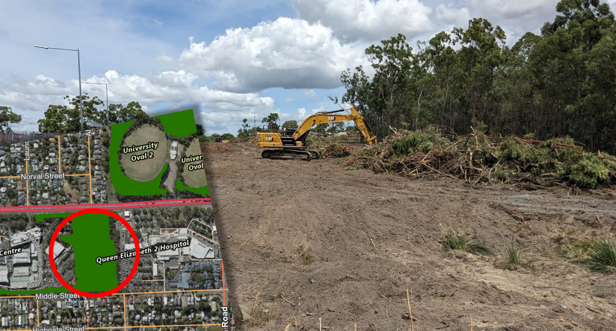 Koala habitat bulldozed by developer for new car park leaving locals 'shattered'