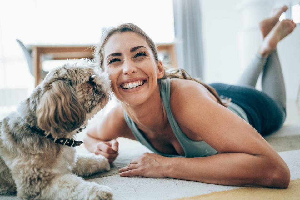 shih tzu kissing woman who is laying on the floor at home