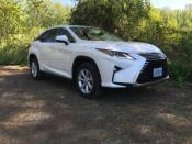 <p>Lexus RX 350 two-wheel-drive SUV<br>(The Car Connection) </p>