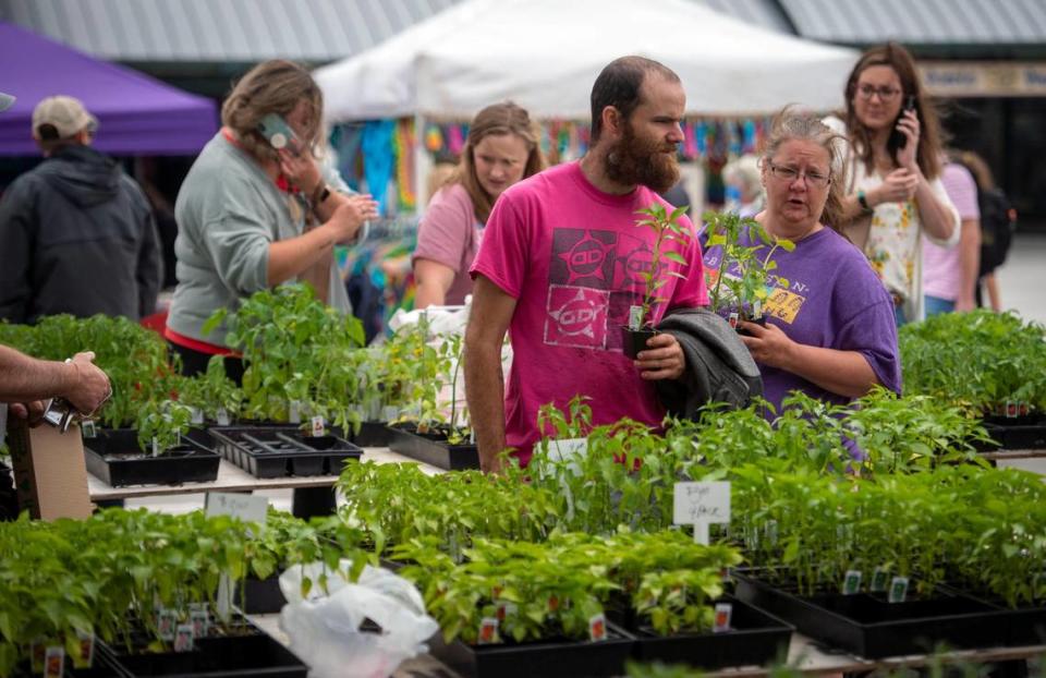 Johnathon LaMont and Patricia Manser of Excelsior Springs, Missouri, shopped for vegetable plants during a stop at the City Market on Saturday, May 8, in Kansas City.
