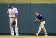 <p>Kansas City Royals center fielder Lorenzo Cain waits as a member of the Busch Stadium grounds crew removes a cat that wandered onto the field during the sixth inning of the Royalss baseball game against the St. Louis Cardinals on Wednesday, Aug. 9, 2017, in St. Louis. (AP Photo/Jeff Roberson) </p>