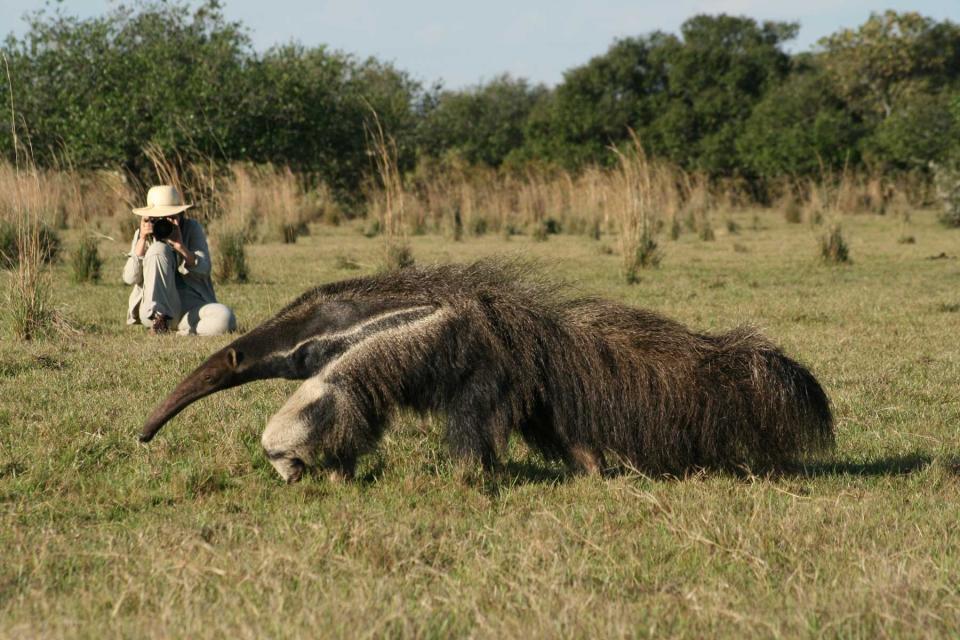 Animal photography with Terra Incognita Tours