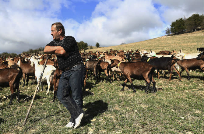 Ce lundi 19 août, Karine Le Marchand revient prendre des nouvelles d'anciens agriculteurs de la célèbre émission de dating de M6 dans "L'amour est dans le pré : que sont-ils devenus ?" Retour sur dix candidats mythiques de l'émission.