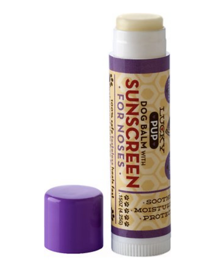 5) Dog Balm with Sunscreen for Noses