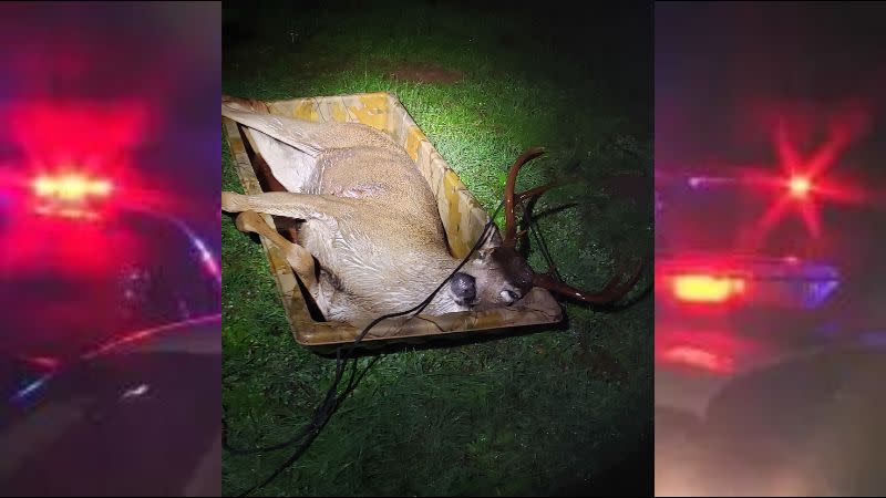 OR officials attempting to ID suspect who shot and killed buck deer on private property