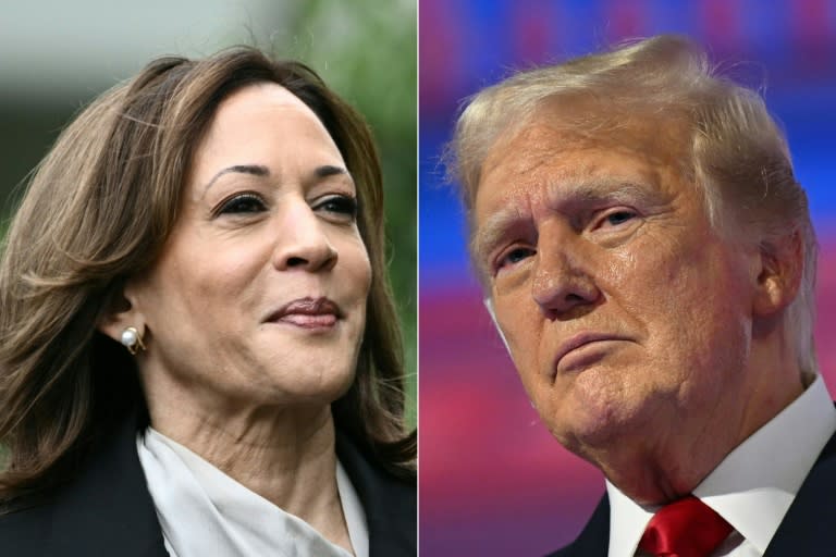 Composición fotográfica que muestra a la vicepresidenta y candidata demócrata Kamala Harris (I), el 22 de julio de 2024 en Washington, y al exmadatario y postulante republicano Donald Trump, en Milwaukee, Wisconsin, el 18 de julio de 2024 (Brendan SMIALOWSKI)