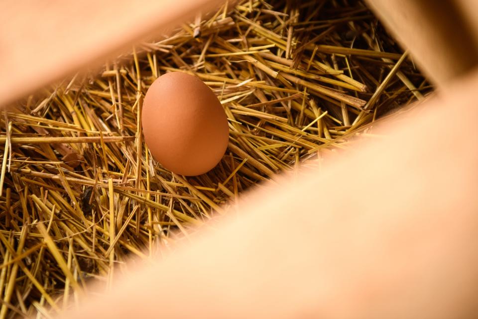 A chicken egg lays in some hay at the Rye Family Farm in Sanford. 