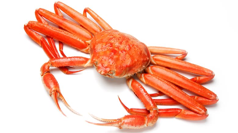 Alaska snow crab