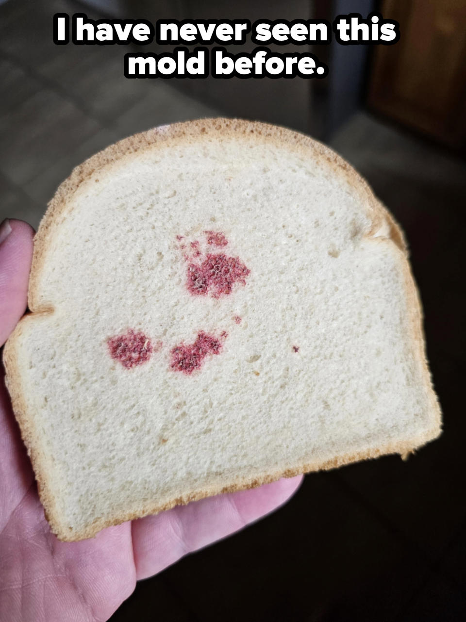 A slice of white bread with several small red spots on it, held in a person's hand