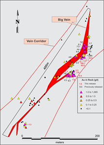 Map of Big Vein showing location of rock samples and visible gold occurrences.