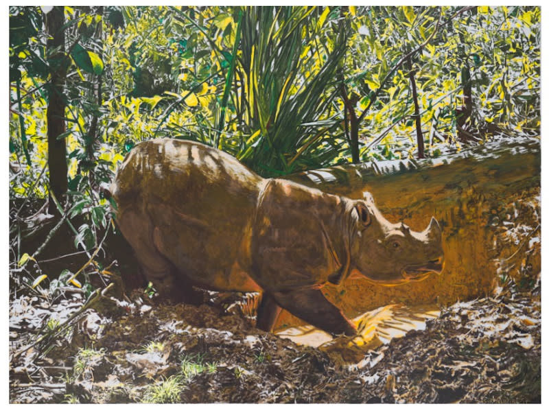 Nasir’s most well-known artwork ‘Tam’, a realistic acrylic painting of the endangered male Sumatran rhinoceros in Malaysia that died in 2019. — Picture courtesy of Kenny Ng