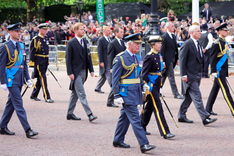 William and Harry appeared behind King Charles and his siblings. (Getty)