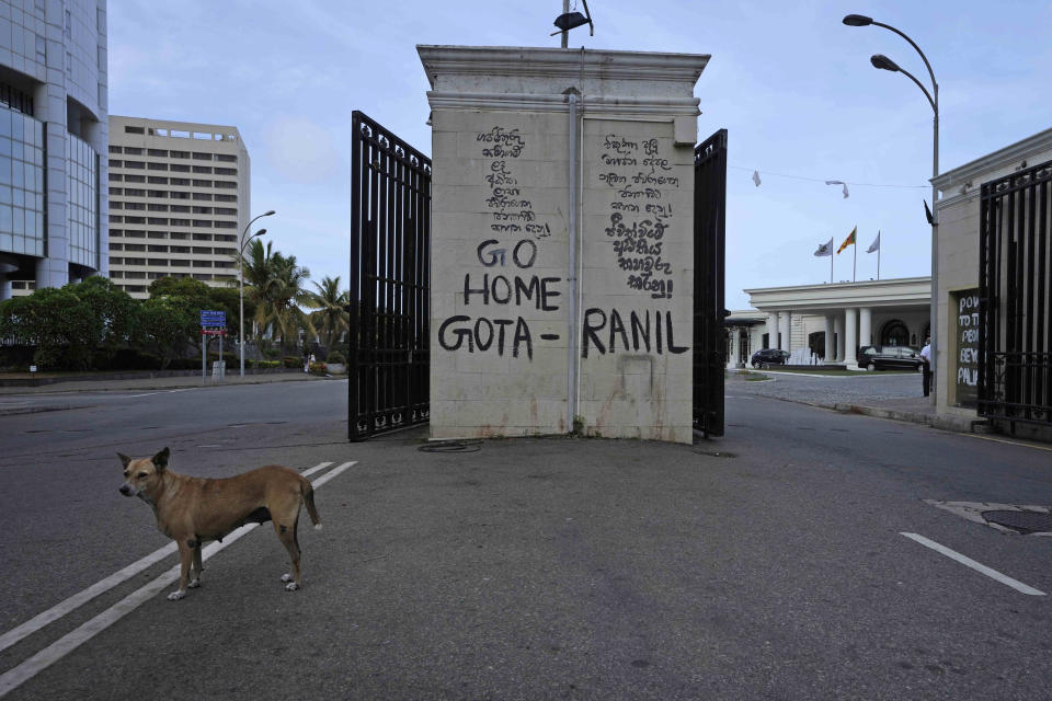 A stray dog is seen on the road leading to president's official residence in Colombo, Sri Lanka, Friday, July 15, 2022. Protesters retreated from government buildings Thursday in Sri Lanka, restoring a tenuous calm to the economically crippled country, and the embattled president at last emailed the resignation that demonstrators have sought for months. (AP Photo/Eranga Jayawardena)
