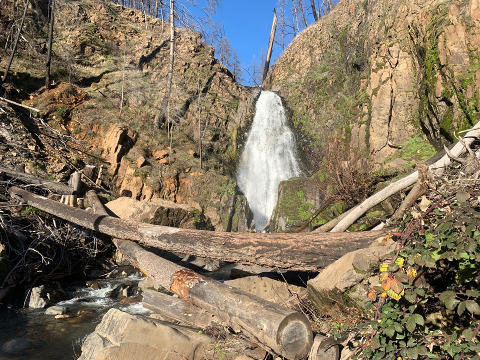 Susan Creek Falls in the North Umpqua Canyon sits in forest burned by the 2020 Archie Creek Fire.