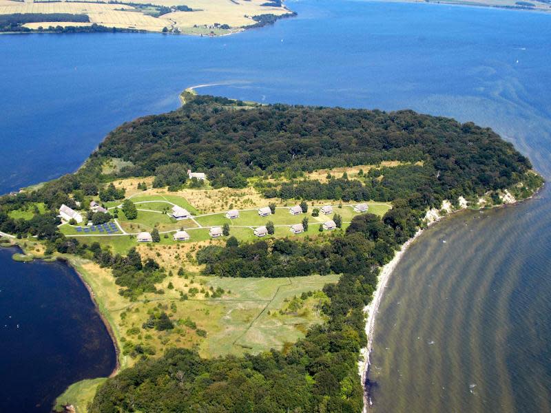 Die Insel Vilm ist heute ein Naturreservat. Mehr als 400 Pflanzenarten sind belegt, 65 Brutvogel- und sogar 48 Schneckenarten. Foto: Klaus Grabowski