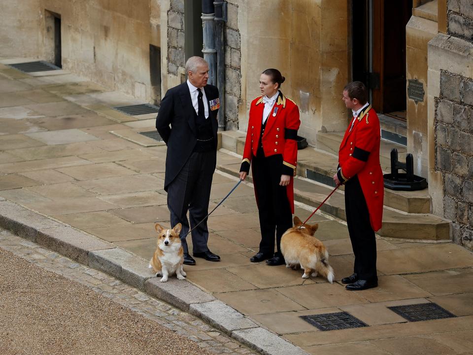 The royal corgis await the cortege on the day of the state funeral and burial of Britain's Queen Elizabeth, at Windsor Castle in Windsor, Britain, September 19, 2022.