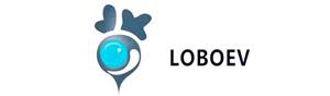 LOBO EV TECHNOLOGIES LTD.