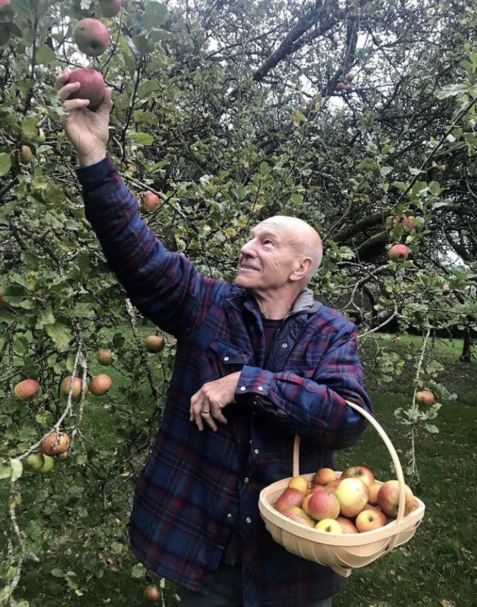 <p>Just call him the OG of apple picking! “I’ve been picking apples in the autumn since before it was cool to post about it on Instagram,” the veteran actor joked as he added to his basket of fruit. (Photo: <a rel="nofollow noopener" href="https://www.instagram.com/p/BajumDoDwN5/?taken-by=sirpatstew" target="_blank" data-ylk="slk:Patrick Stewart via Instagram;elm:context_link;itc:0;sec:content-canvas" class="link ">Patrick Stewart via Instagram</a>) </p>