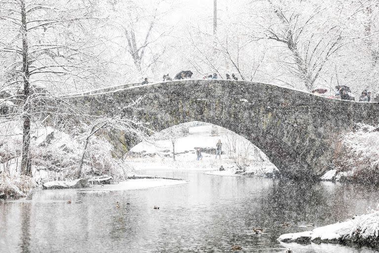 Varias personas caminan por Central Park en medio de la tormenta de nieve