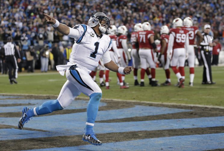 The Panthers beat the Cardinals in last year's NFC title game (AP)