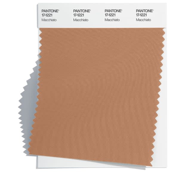 <p>Macchiato (17-1221). Photo: Courtesy of Pantone</p>