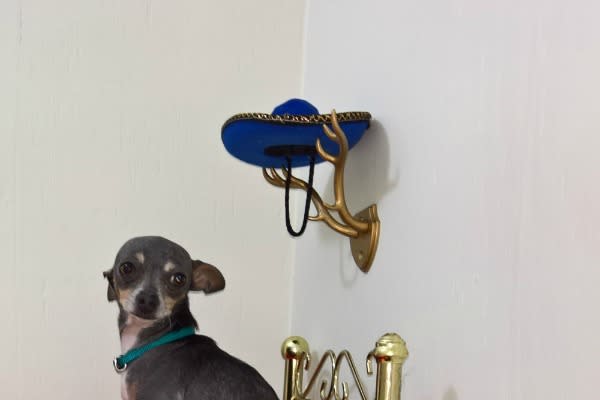 Para hacerle honor al origen de su raza, en la habitación de este Chihuahua también se encuentra un vistoso sombrero de charro.