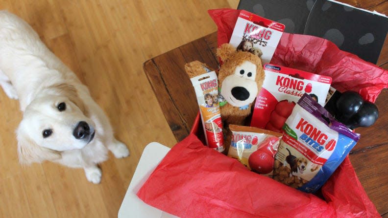 The Kong Box contains all sorts of toys to keep your pup entertained.