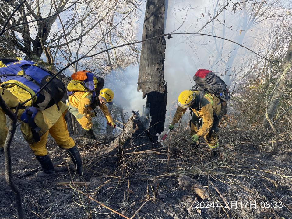 臺中市和平區梨山地區大甲溪事業區第66林班地發生森林火災。（圖：臺中分署提供）