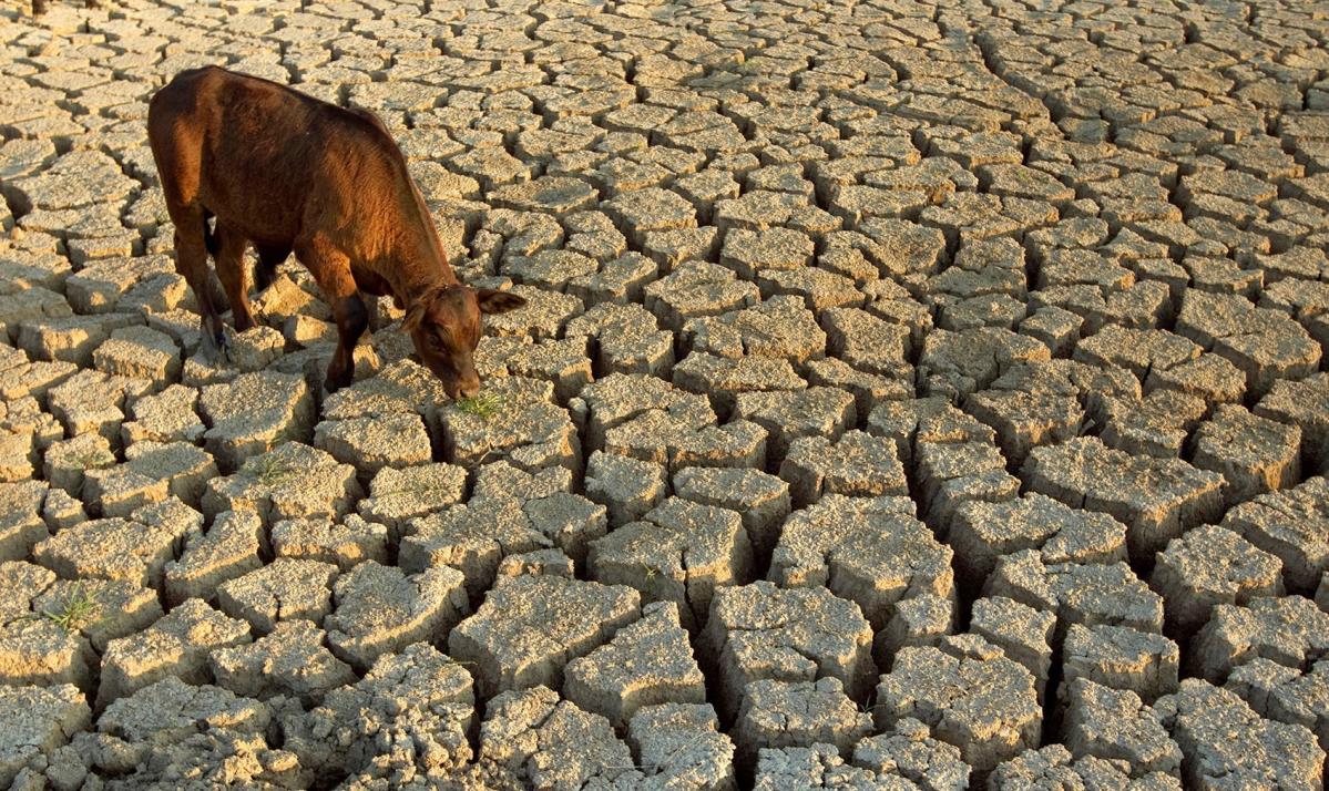 Drought Early Warning Issued in Kenya