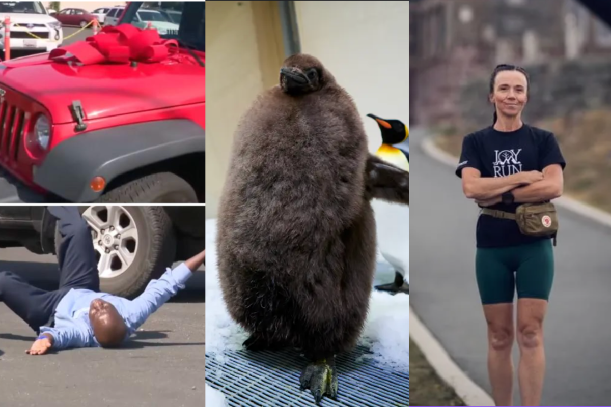 Finally, some good news: Students give janitor life changing gift, Canadian touched by suicide raises awareness and oversize baby penguin goes viral