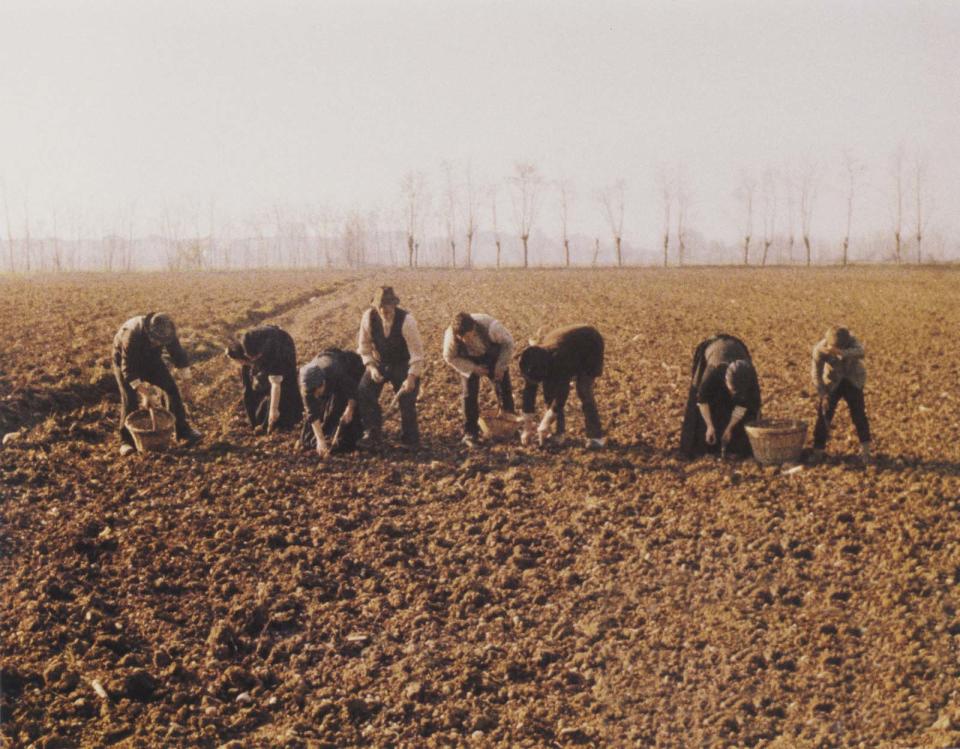 « L’arbre aux sabots » de Ermanno Olmi